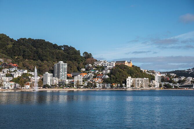 Wellington 90 minute Harbour Cruise - The onboard setup: where to stand, where to sit, and how to hear the guide