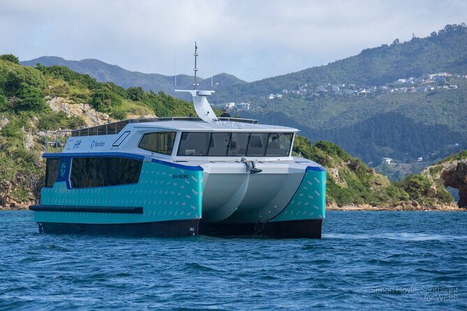 Wellington 90 minute Harbour Cruise - What you learn: Wellington as Te Whanganui-a-Tara from the water