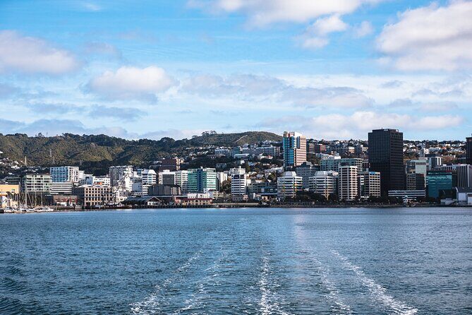 Wellington 90 minute Harbour Cruise - How the cruise route works when conditions change
