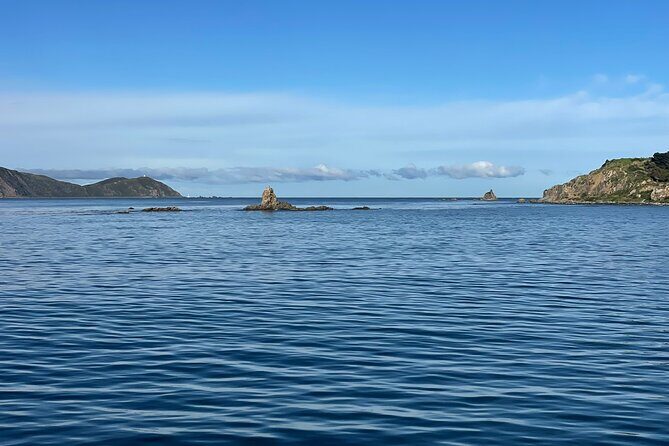 Wellington 90 minute Harbour Cruise - Who this cruise is perfect for