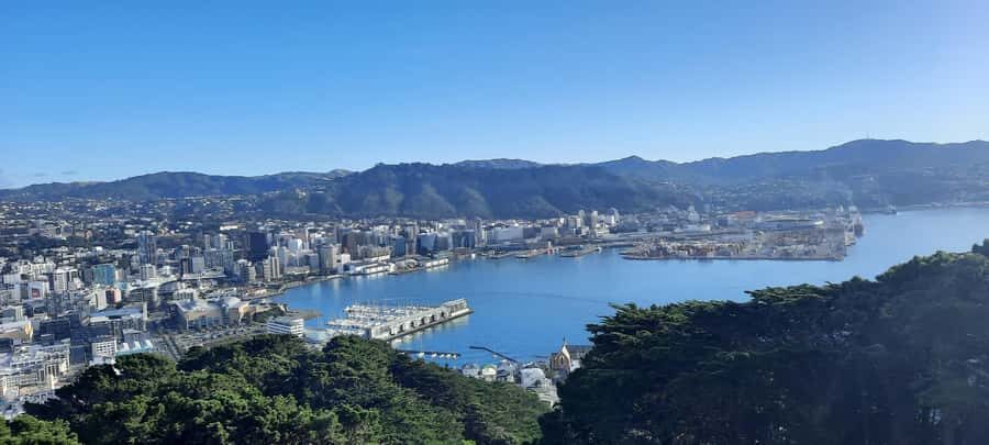Wellington: Cave to Coast Highlights Guided Tour - The coastal drive: Oriental Bay, windy sign vibes, and the south shore attitude
