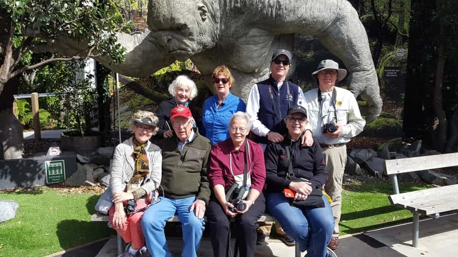 Wellington: Cave to Coast Highlights Guided Tour - Shelly Bay to Miramar Peninsula: scenery plus just enough structure