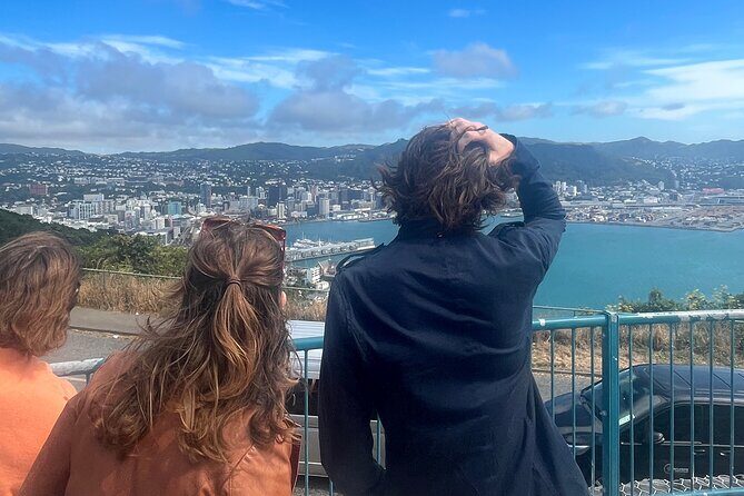 Wellington City and Sea: Private Tour in Electric Tesla SUV - Weta Cave: Film Creativity Meets a Real Wellington Stop