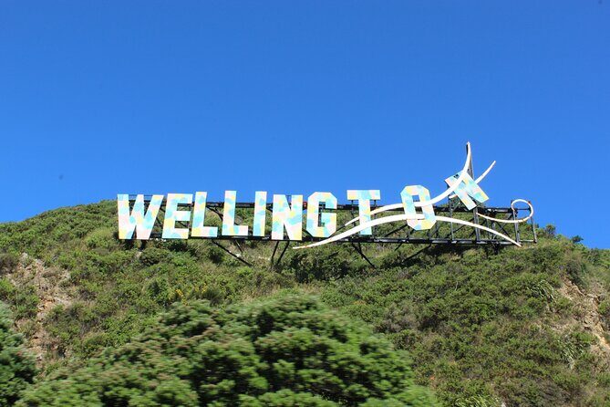 Wellington City and Sea: Private Tour in Electric Tesla SUV - Thorndon to the Cable Car: Harbour Views With No Guesswork