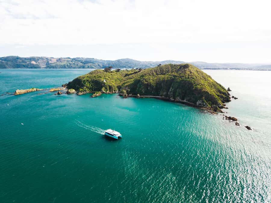Wellington: Commentated Harbour Explorer tour - Ika Rere and the “zero emissions” harbour ride