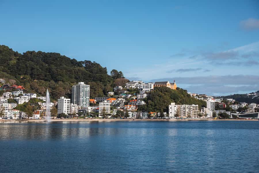 Wellington: Commentated Harbour Explorer tour - The live guide: storytelling plus real-world attention