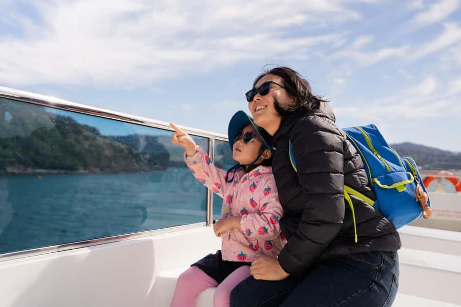 Wellington: Commentated Harbour Explorer tour - Price and value: $41 for 1.5 hours of guided water time