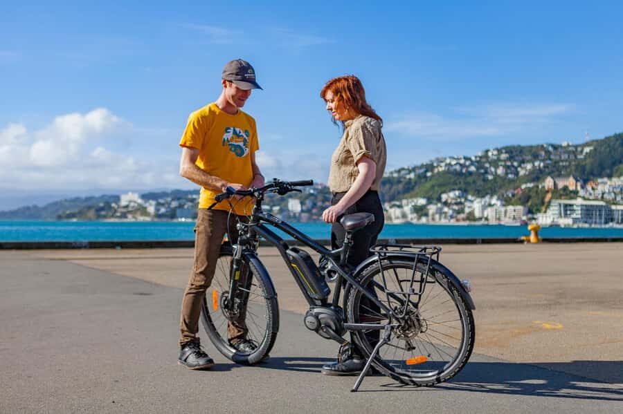 Wellington: Easy Rider Guided eBike Tour - What you learn: Māori stories and Wellington’s key figures