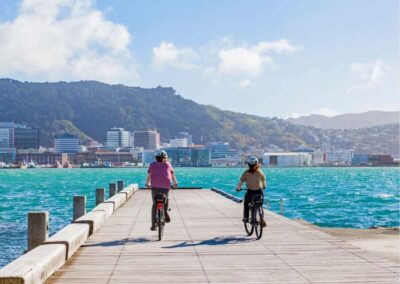 Wellington Electric Bike Rental - The Bike Setup: Helmet, Lock, and a Real Safety Brief