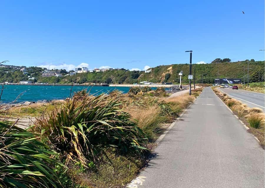 Wellington Electric Bike Rental - The Rimutaka Rail Trail: Forest Cycling Far From Traffic