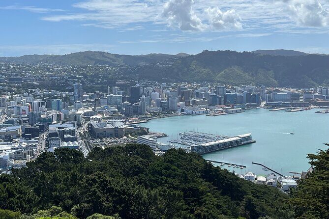 Wellington Full Day Private Tour in Electric Tesla SUV - Key highlights you’ll feel from the start
