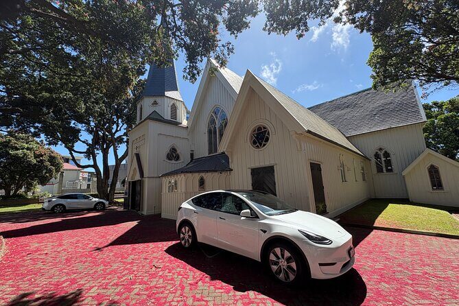 Wellington Full Day Private Tour in Electric Tesla SUV - Weta Cave and Miramar Peninsula: films, Kupe, and ecology sites