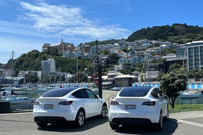 Wellington Full Day Private Tour in Electric Tesla SUV - Brooklyn Wind Turbine, Cuba Street, and Te Papa’s Gallipoli exhibit
