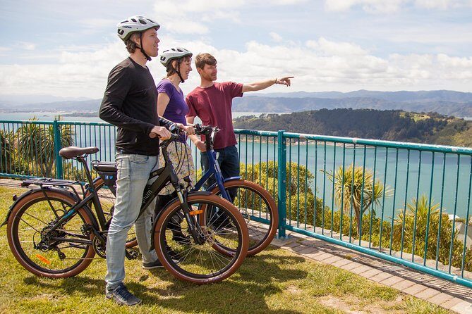 Wellington Guided eBike Tour-Cruise Shore Excursion - First ride setup: when an eBike turns stress into ease