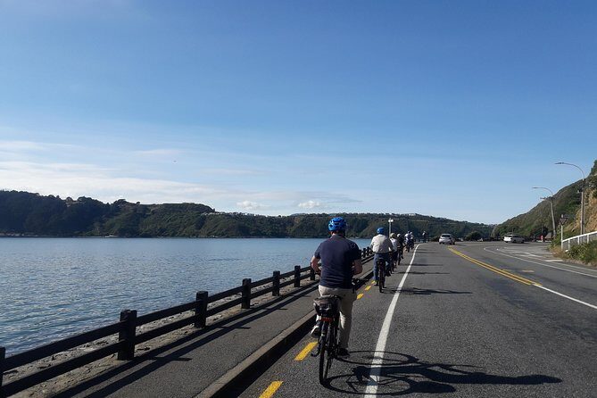 Wellington Guided eBike Tour-Cruise Shore Excursion - Cog Park café break: where the tour refuels and resets