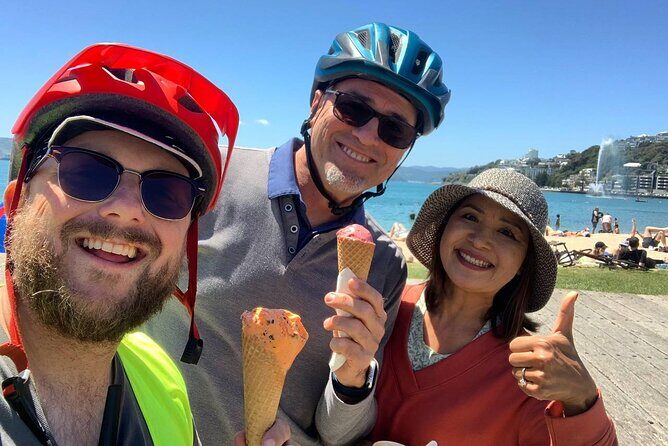 Wellington Guided eBike Tour-Cruise Shore Excursion - Price and value for a cruise-day 3 to 4 hour loop