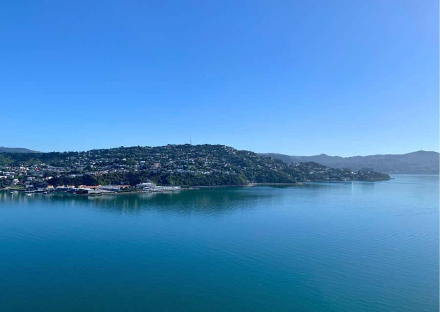 Wellington: Guided Sightseeing Tour by Electric Bike - Out toward Miramar Peninsula: coastal riding and the café pause