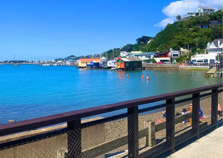Wellington: Guided Sightseeing Tour by Electric Bike - Price, duration, and who this Wellington e-bike tour fits best