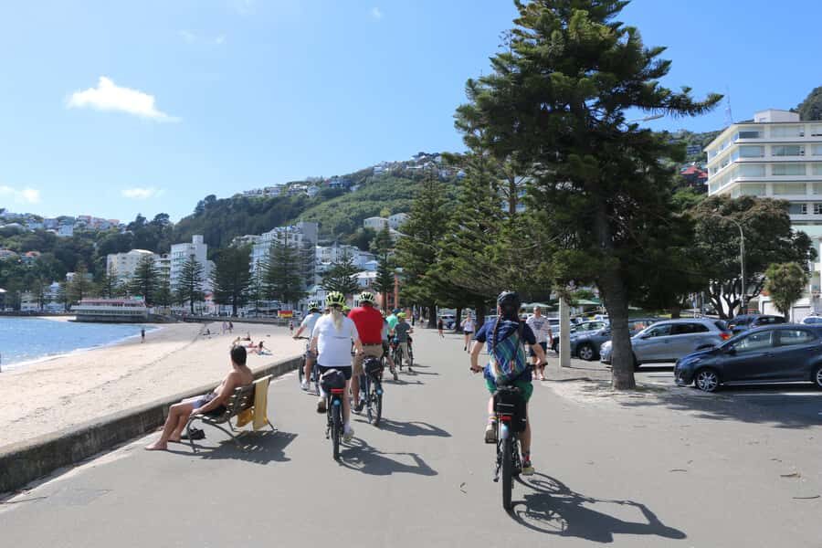 Wellington: Guided Sightseeing Tour by Electric Bike - Should you book it? My practical call