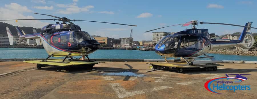 Wellington Helicopter Scenic Flight - CBD to Te Papa: How the City’s Cultural Core Looks From Above