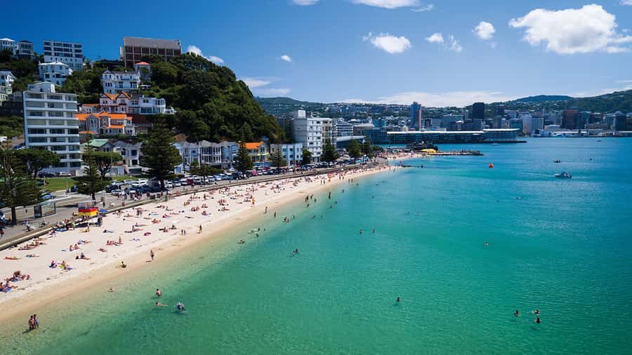 Wellington Helicopters Scenic Harbour Flight - Why a 15-Minute Helicopter Flight Works in Wellington