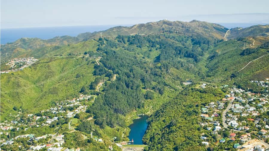 Wellington Helicopters Scenic Harbour Flight - Spotting the Landmarks: Te Papa, the Beehive, and Cake Tin