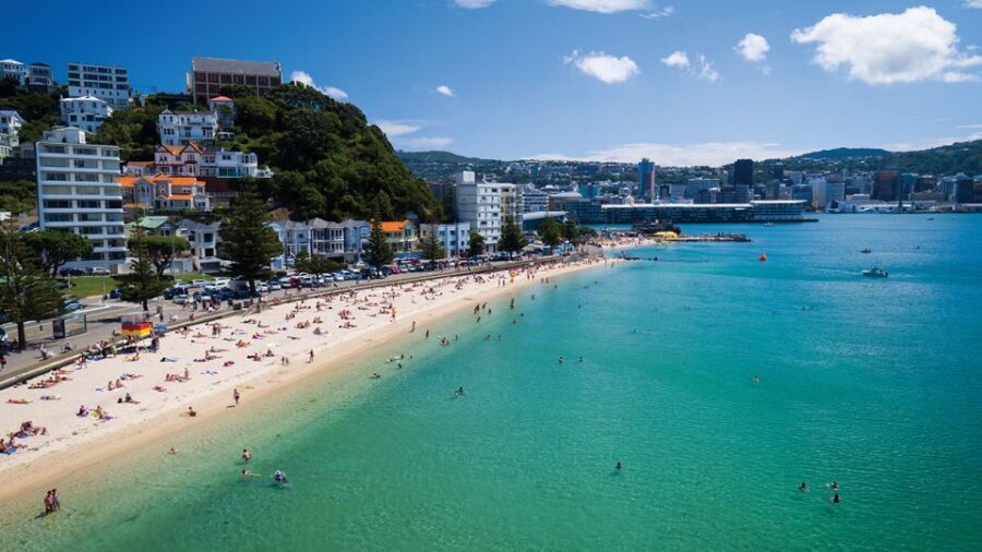 Wellington Helicopters Scenic Harbour Flight - Price and Value: Is $178 a Fair Deal for a 15-Minute Flight?