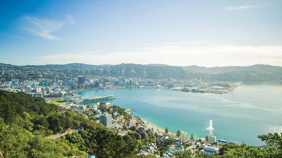 Wellington Helicopters Scenic Harbour Flight - Entering the Air: What You’ll See Immediately After Takeoff