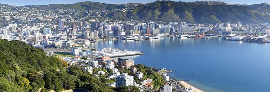 Wellington: Highlights Tour with a Local Guide - Getting on the bus: pickup from port, hotel, and i-Site