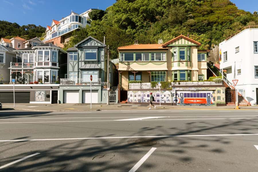 Wellington: Highlights Tour with a Local Guide - Wellington Cable Car included: Kelburn views without the hassle