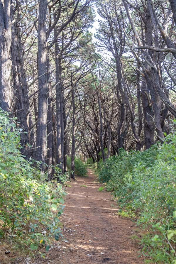 Wellington: Lord of the Rings Half-Day Guided Tour inc Weta - Stop 1: Hobbit Hideaway and why “the first day” is a big deal