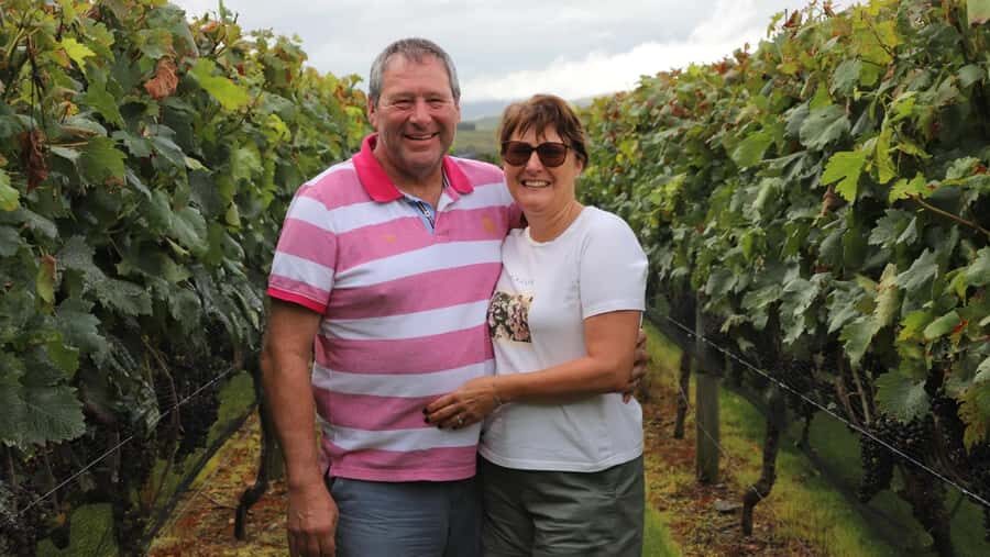 Wellington: Martinborough Private Winery Tour with Lunch - Martinborough, the wine focus: up to four family-owned tastings