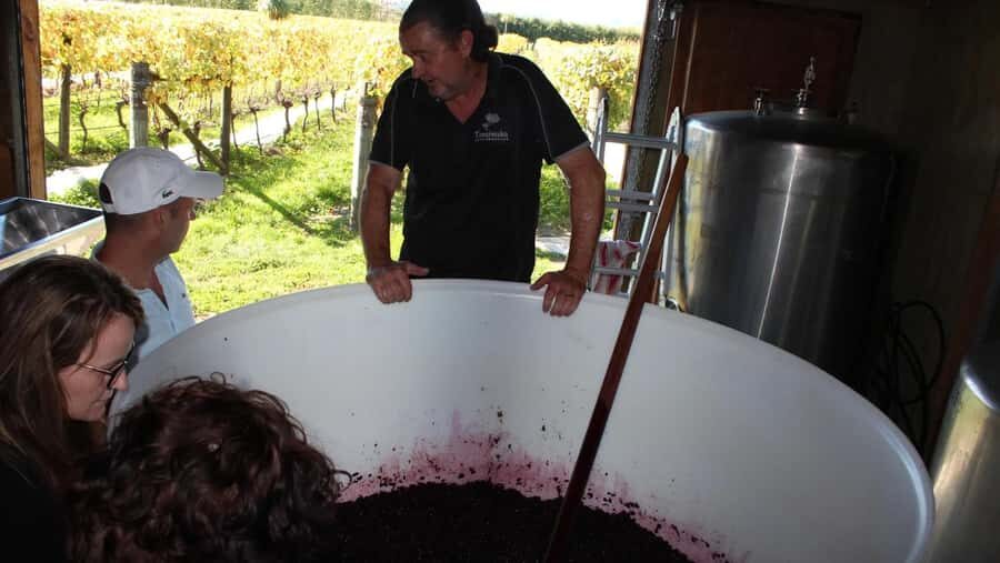 Wellington: Martinborough Private Winery Tour with Lunch - Remutaka Crossing stop: a short pause that adds real context