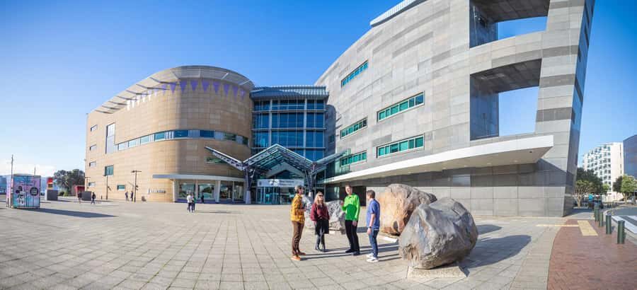 Wellington: Museum of NZ General Admission - Key highlights to plan around