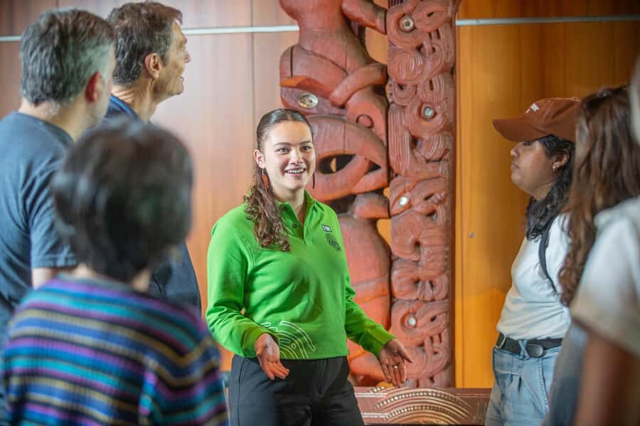 Wellington: Museum of NZ Intro Tour & General Admission - Key things to know before you go