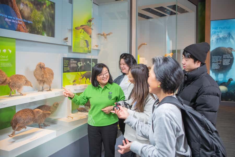 Wellington: Museum of NZ Intro Tour & General Admission - Six floors of Te Papa: how to plan your next two days