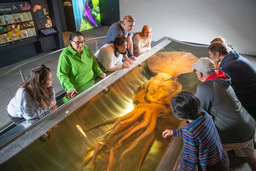 Wellington: Museum of NZ Intro Tour & General Admission - Who this tour suits best (and who can skip it)