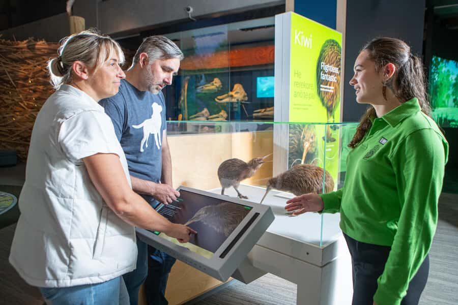 Wellington: Museum of NZ Intro Tour & General Admission - What the guided intro covers: Māori culture, colonial history, art, and more