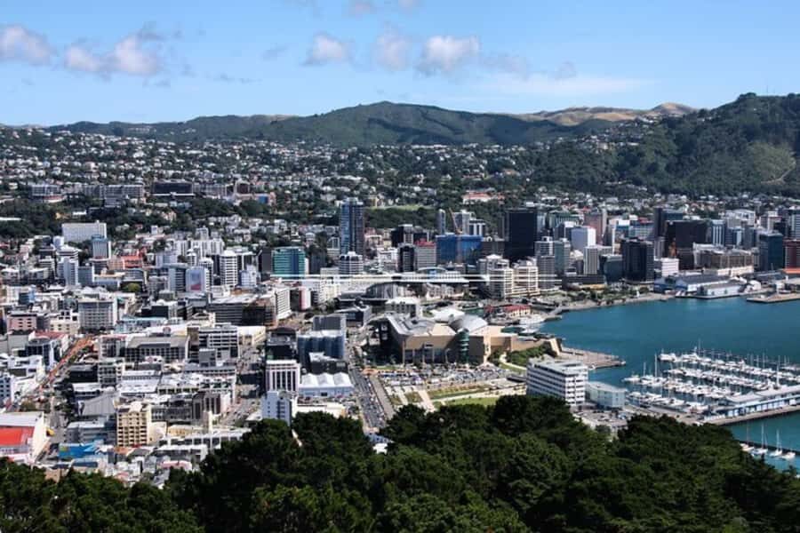 Wellington: Private custom tour with a local guide - Key highlights worth planning around