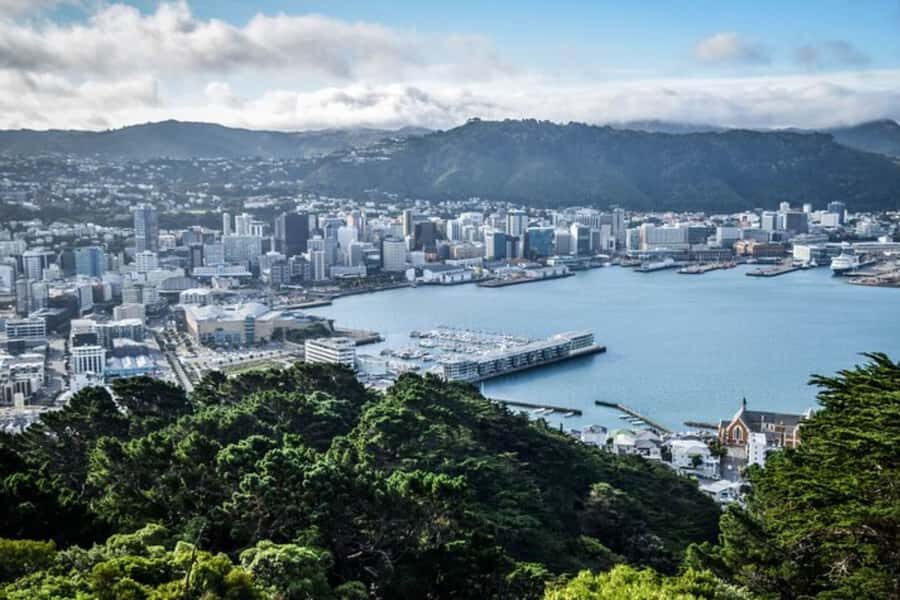Wellington: Private custom tour with a local guide - Meeting up in Wellington: pickup, start points, and where you finish