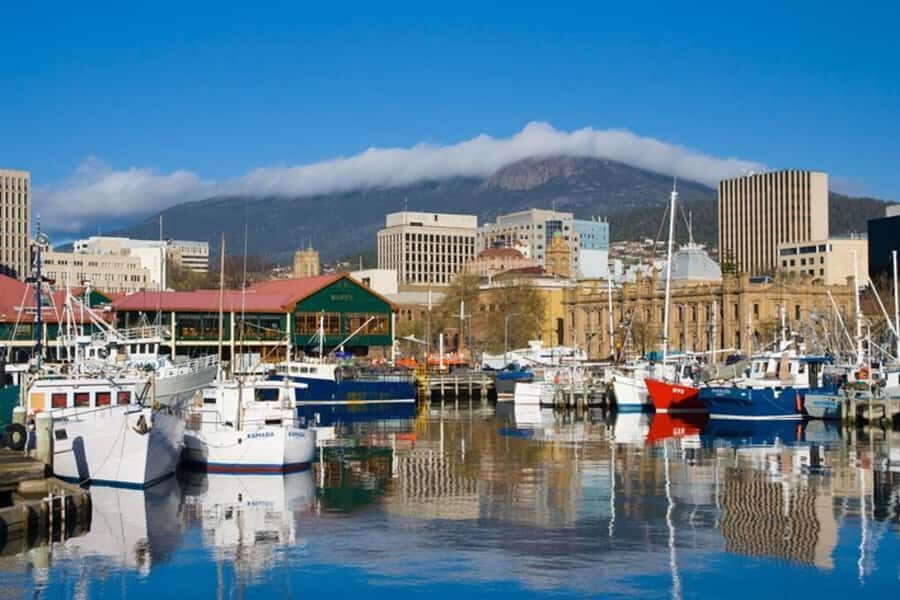Wellington: Private custom tour with a local guide - Price and value: does $70 make sense?