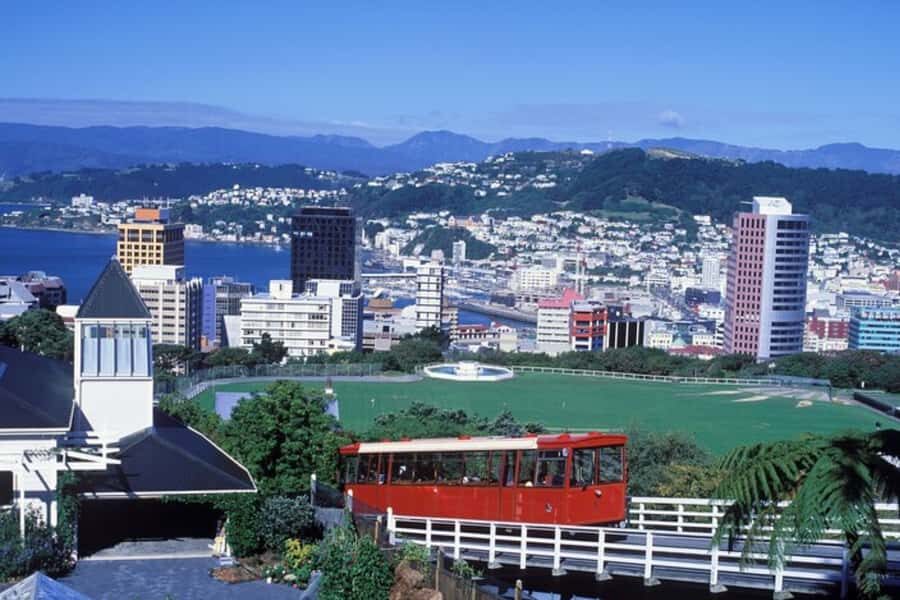 Wellington: Private custom tour with a local guide - Your 2 to 8 hours: shaping a route that fits your day