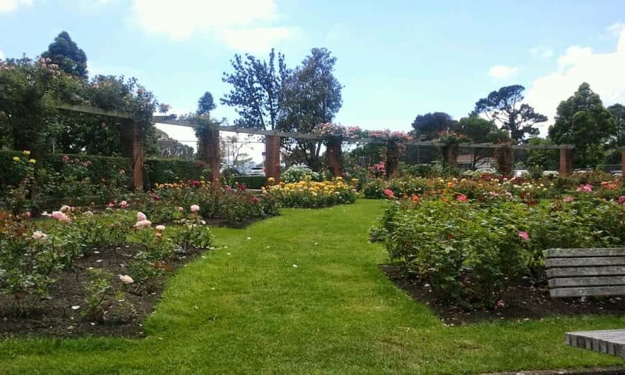 Wellington: Private Day Tour with Lunch - Key things I’d bet you’ll remember