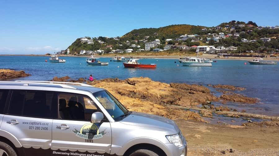 Wellington: Private Day Tour with Lunch - How this 7-hour Wellington route actually fits together