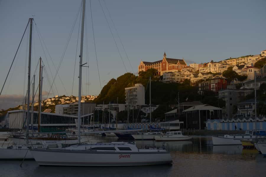 Wellington: Private Day Tour with Lunch - Weta Cave and mini museum: film props you can actually stand near