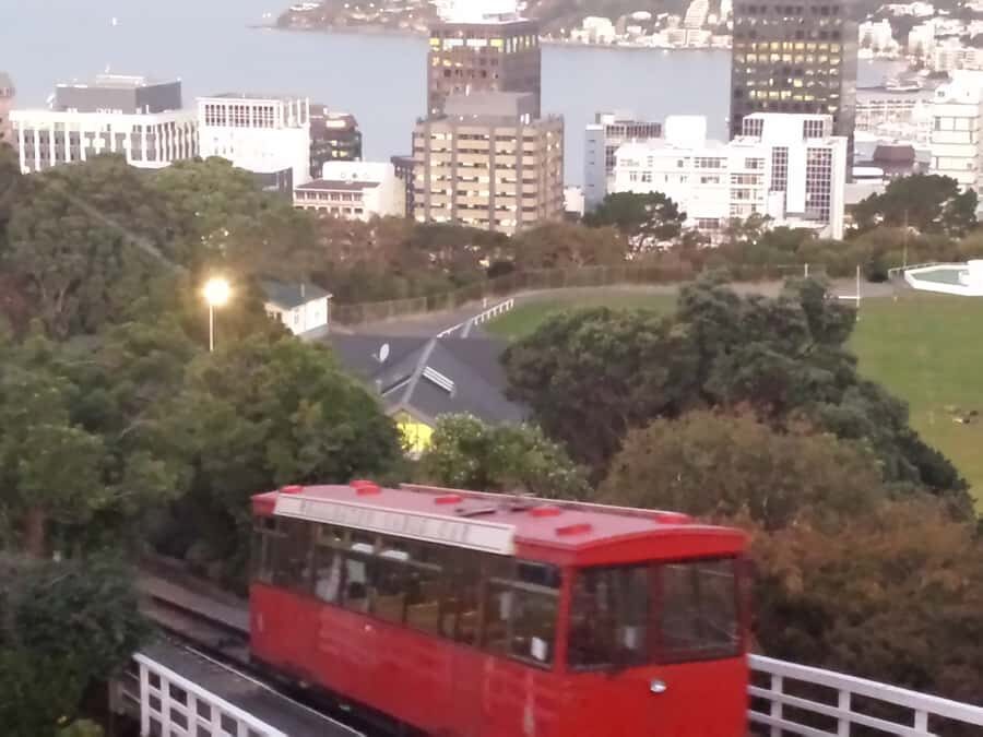 Wellington: Private Day Tour with Lunch - Botanical Gardens and Lady Norwood rose gardens: a slower, prettier pace