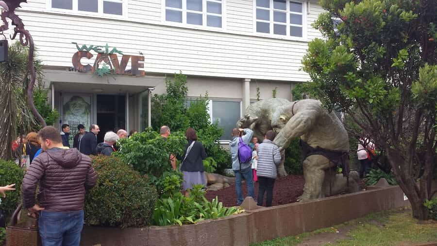 Wellington: Private Day Tour with Lunch - Mt Victoria: the best first viewpoint for getting your bearings