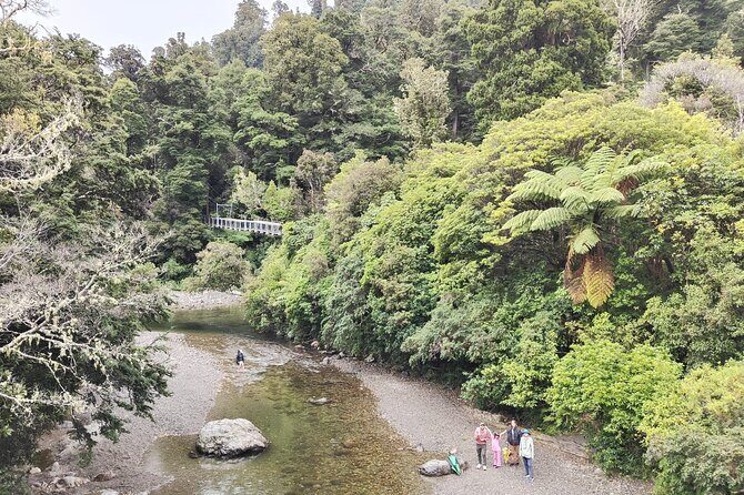 Wellington Region Full Day Private Tour: Get out of the City - Wellington Botanic Garden and Thorndon: earthquake-era geography