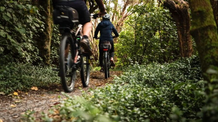 Wellington: Remutaka Rail Trail Cycle Tour - Pace, difficulty, and the weather reality check