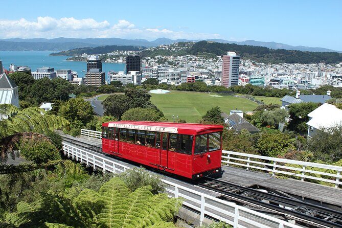 Wellington Scenic Full Day Tour - Key highlights to know before you go